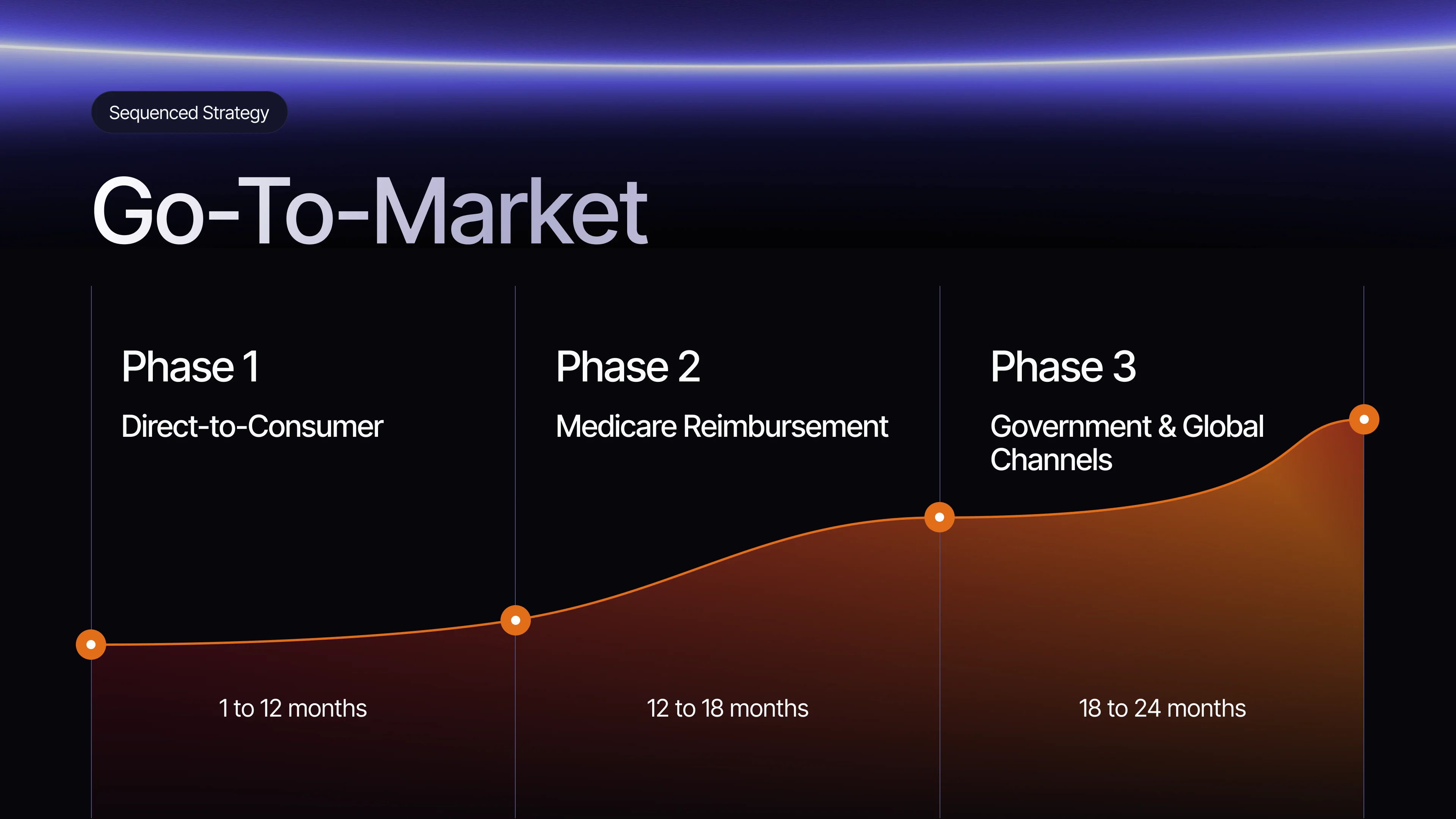 Go-To-Market: phase 1 direct-to-consumer in months 1–12, phase 2 Medicare reimbursement in months 12–18, phase 3 government and global channels in months 18–24
