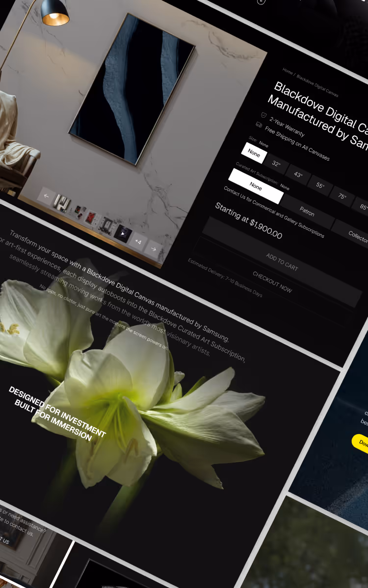 Portfolio